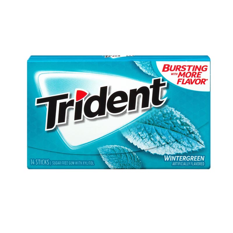 Trident Wintergreen Gum 31g