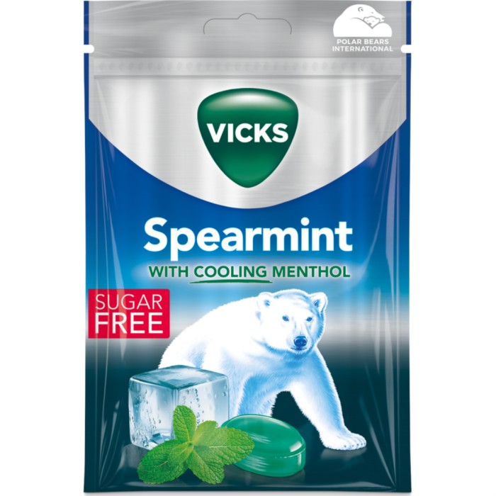Spearmint Sugar Free 72g